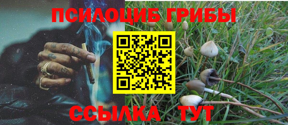 Псилоцибиновые грибы Cubensis  Вход с VPN  наркошоп  Псилоцибиновые грибы мухоморы  Малоярославец 