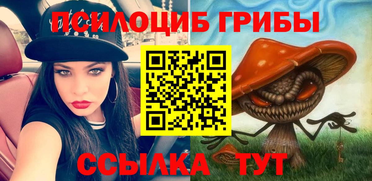 Псилоцибиновые грибы прущие грибы Малоярославец
